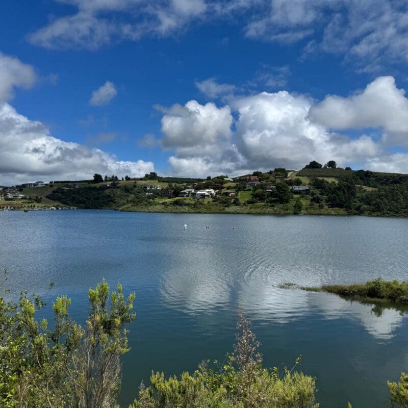 Swimming in Business